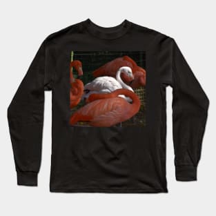 Caribbean Flamingo Long Sleeve T-Shirt